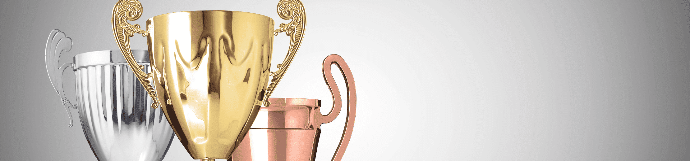 Specialisti in trofei