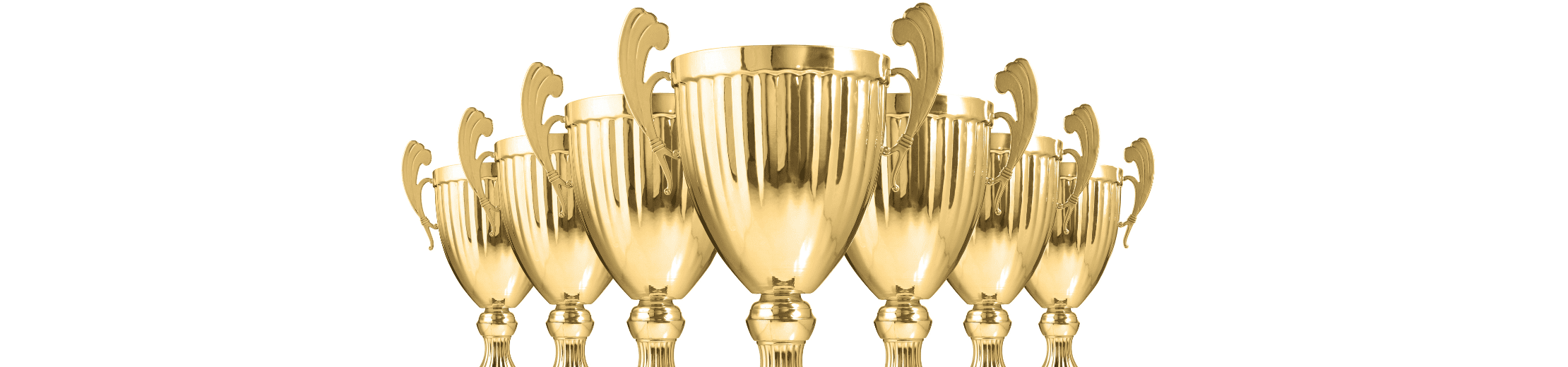 Specialisti in trofei