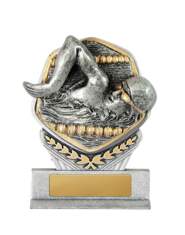 Torre del Falco – Maschio nuotatore