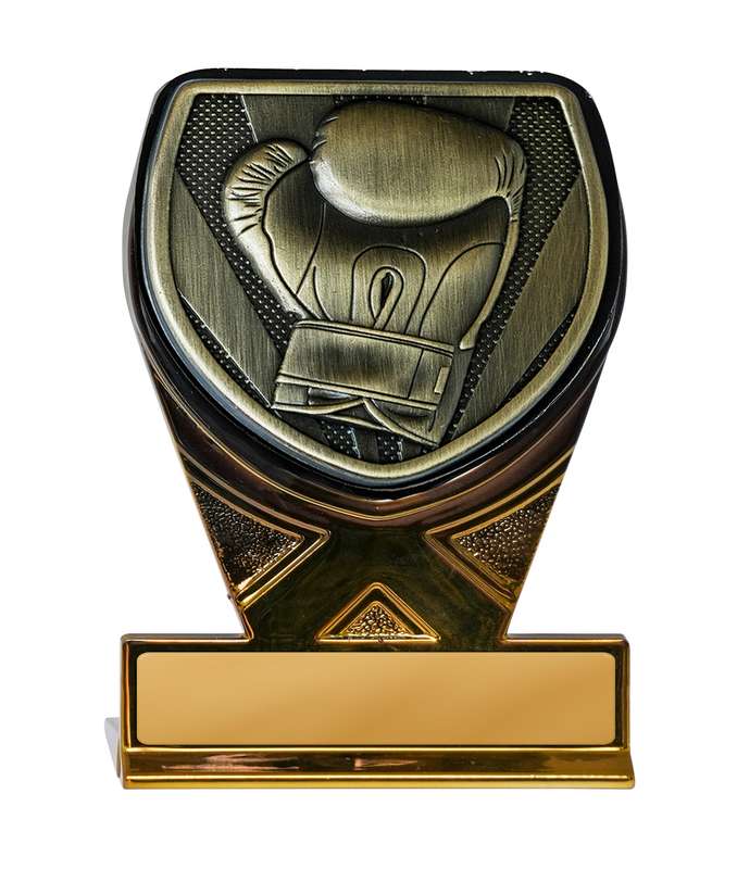 Fusione Cobra-Boxing