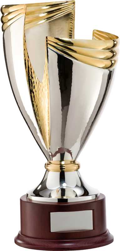 Argento &amp a 2 toni; oro placcato Tazza per trofei fatta a mano Base in legno