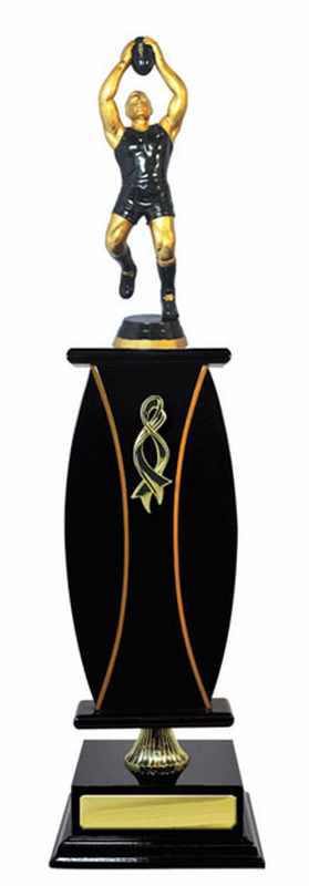 Costruzione di legname Aussie Rules