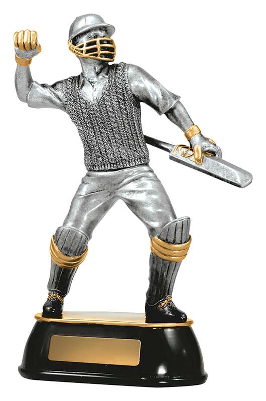 Celebrazione del cricket