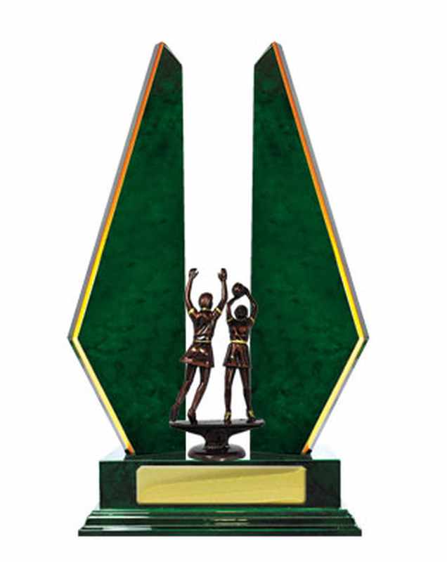 Netball con accumulo di legname