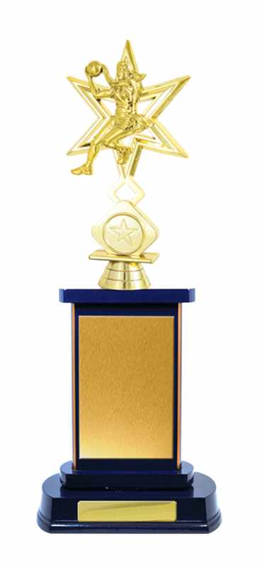 Netball con accumulo di legname