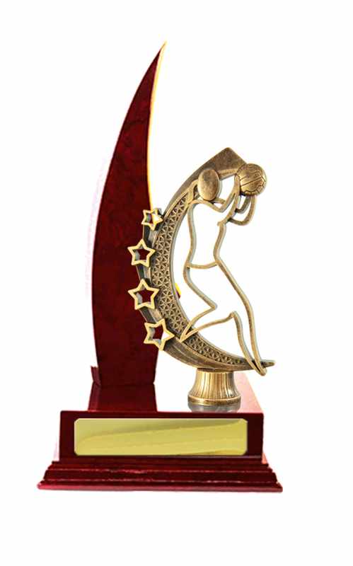 Netball con accumulo di legname