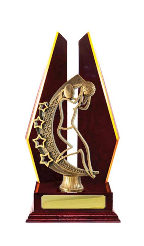 Netball con accumulo di legname