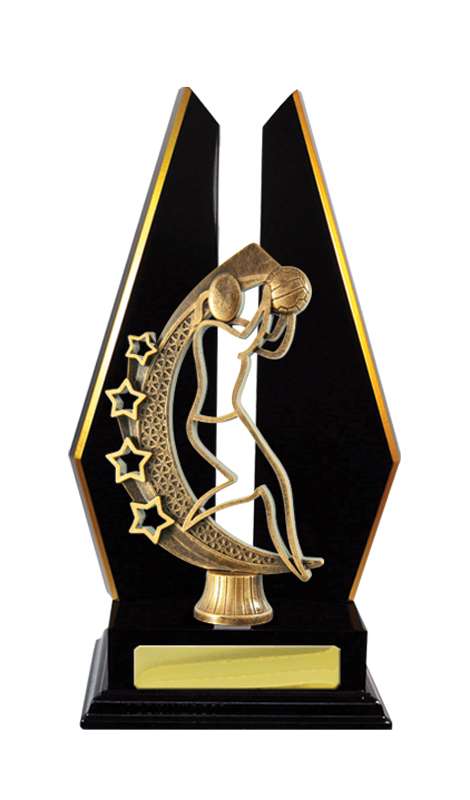 Netball con accumulo di legname