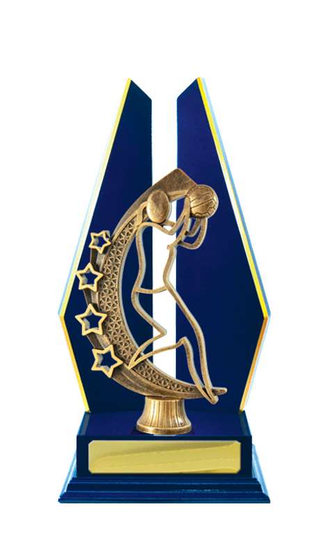 Netball con accumulo di legname