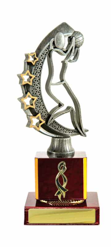 Netball con accumulo di legname