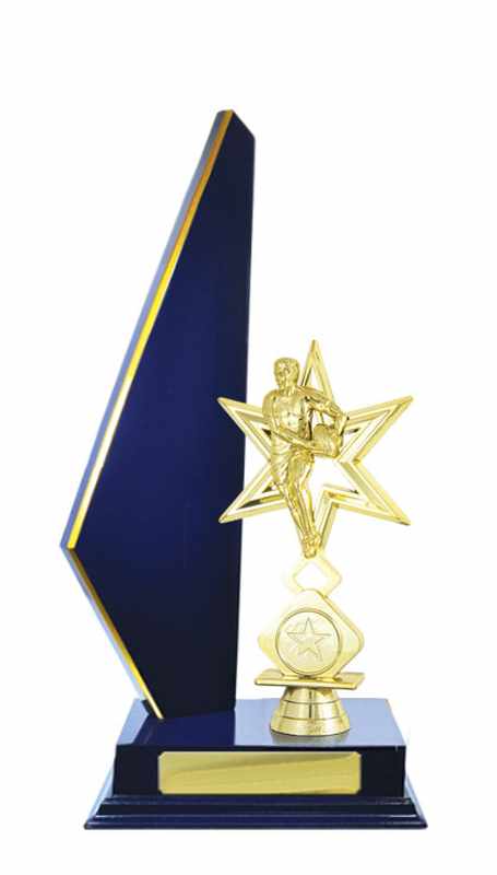 Accumulo di legname Rugby