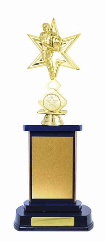 Accumulo di legname Rugby