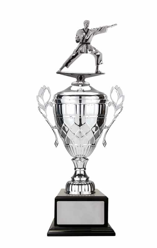 Coppa Whopper – Arti marziali