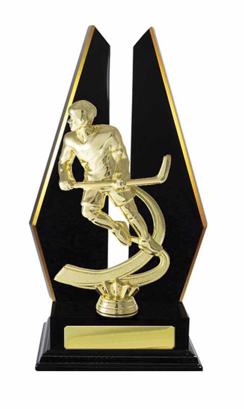 Hockey su ghiaccio con accumulo di legname