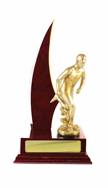 Salvataggio dell’accumulo di legname