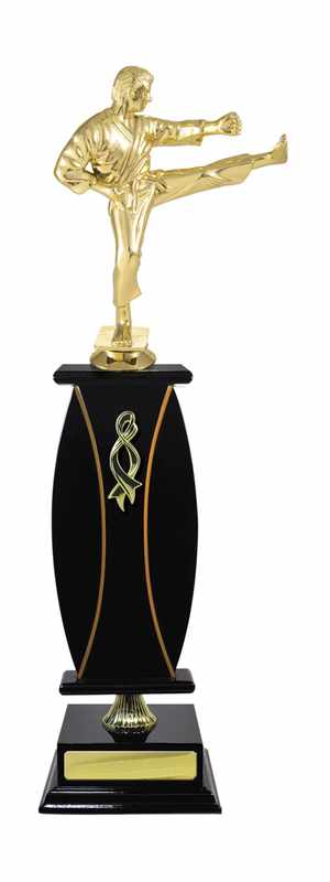 Arti marziali Timber Buildup