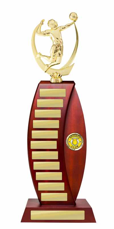 Pallavolo Timber Buildup