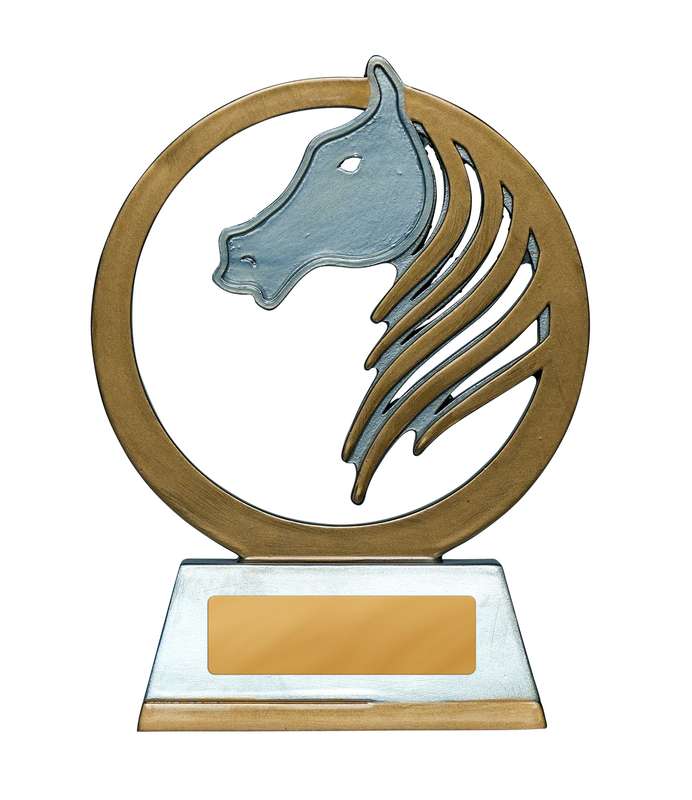 Criniera d’oro – Cavallo