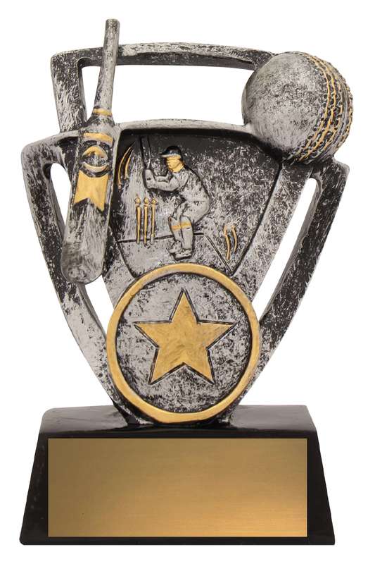 Bilancio del cricket