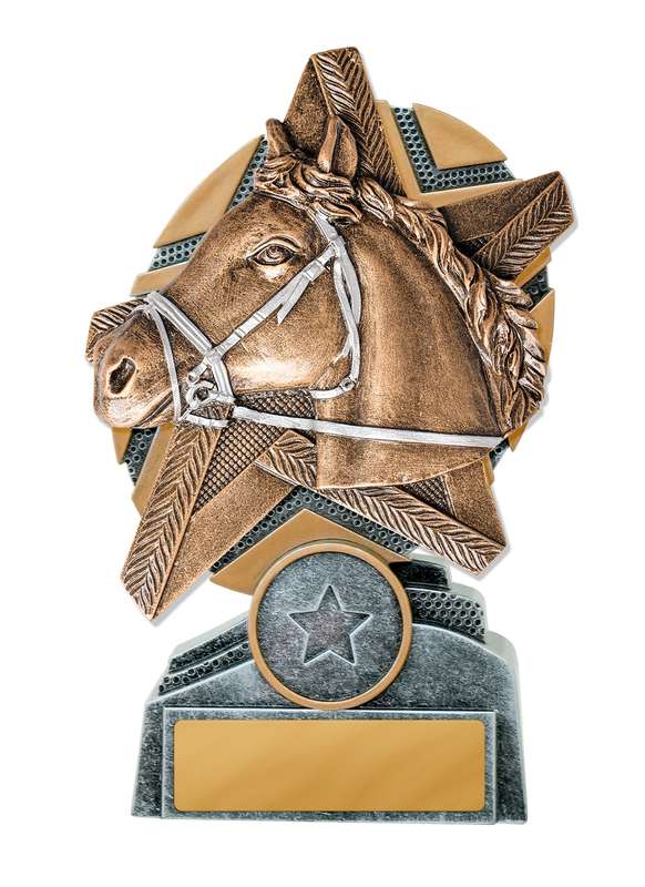 Cavallo a stelo Starburst