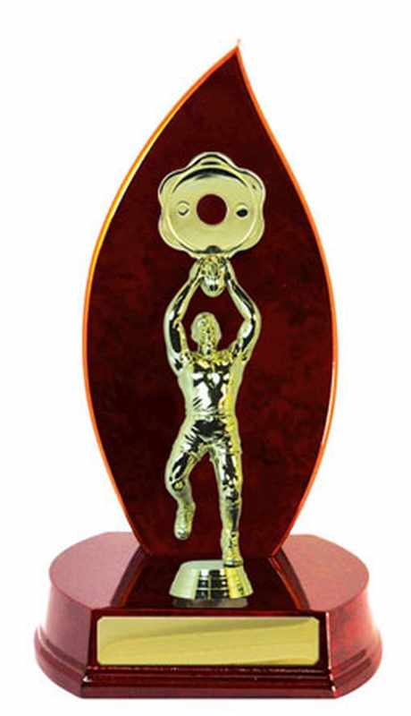 Costruzione di legname Aussie Rules