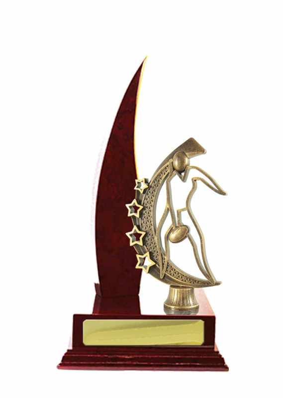 Costruzione di legname Aussie Rules