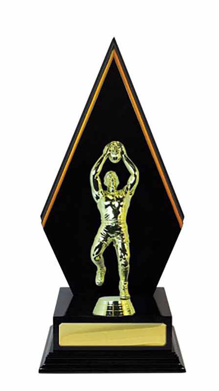 Costruzione di legname Aussie Rules