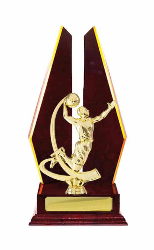 Pallacanestro con accumulo di legname