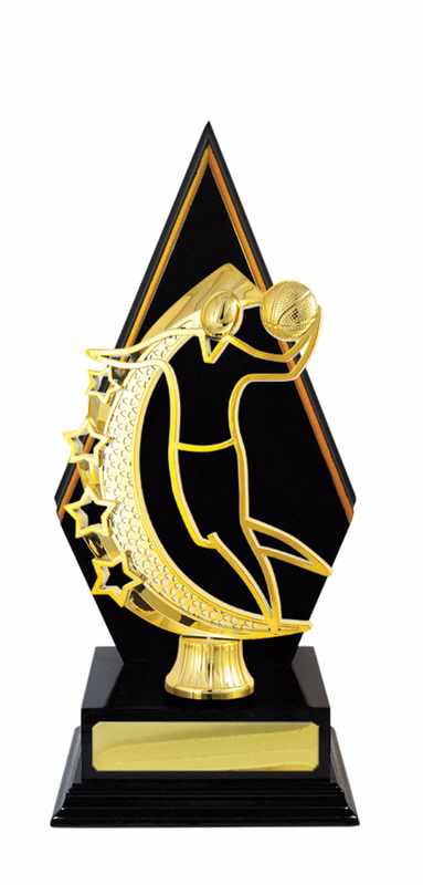 Pallacanestro con accumulo di legname