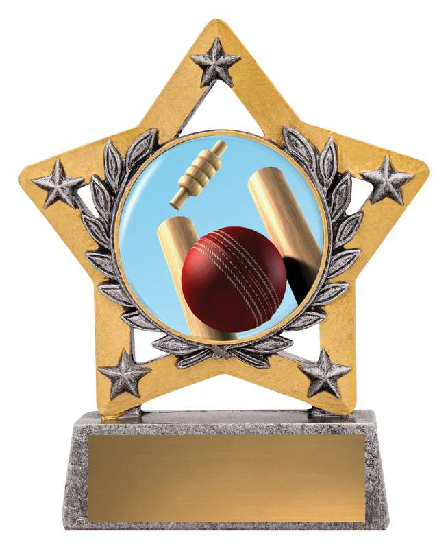 Mini Star Colour – Cricket