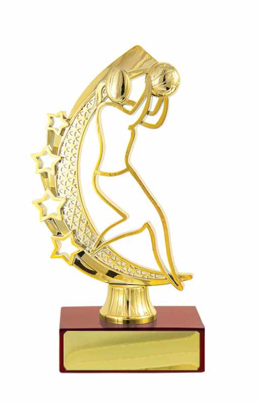 Fig. su base Netball