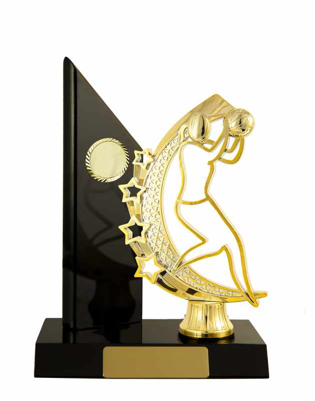 Netball con accumulo di legname