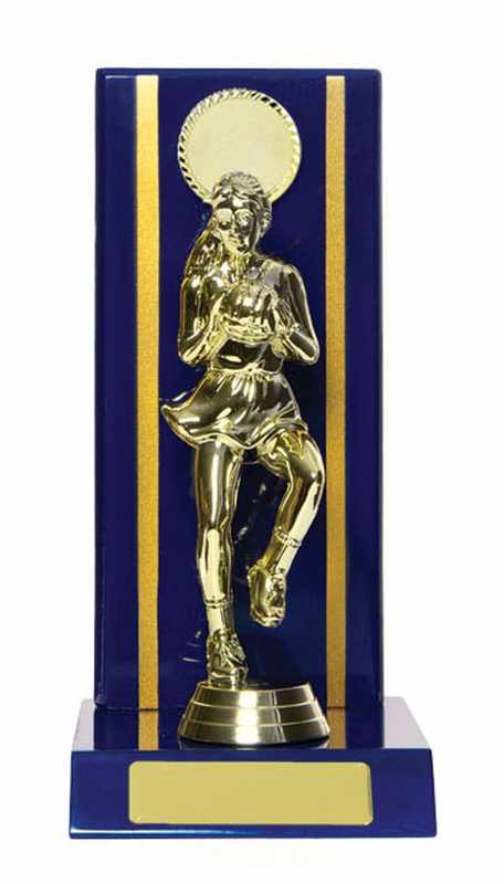 Netball con accumulo di legname