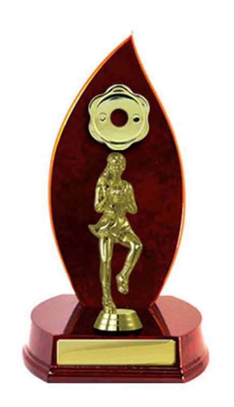 Netball con accumulo di legname