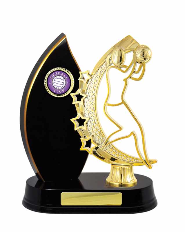 Netball con accumulo di legname