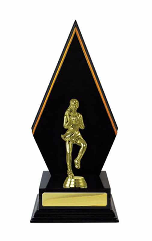 Netball con accumulo di legname