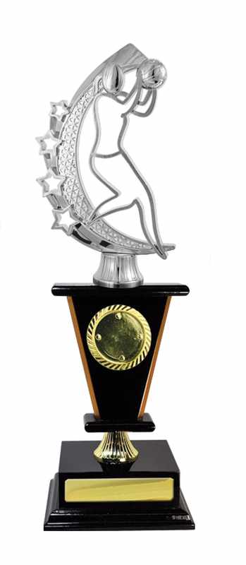 Netball con accumulo di legname