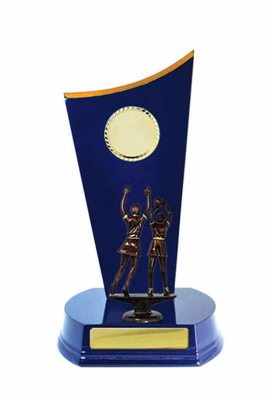 Netball con accumulo di legname