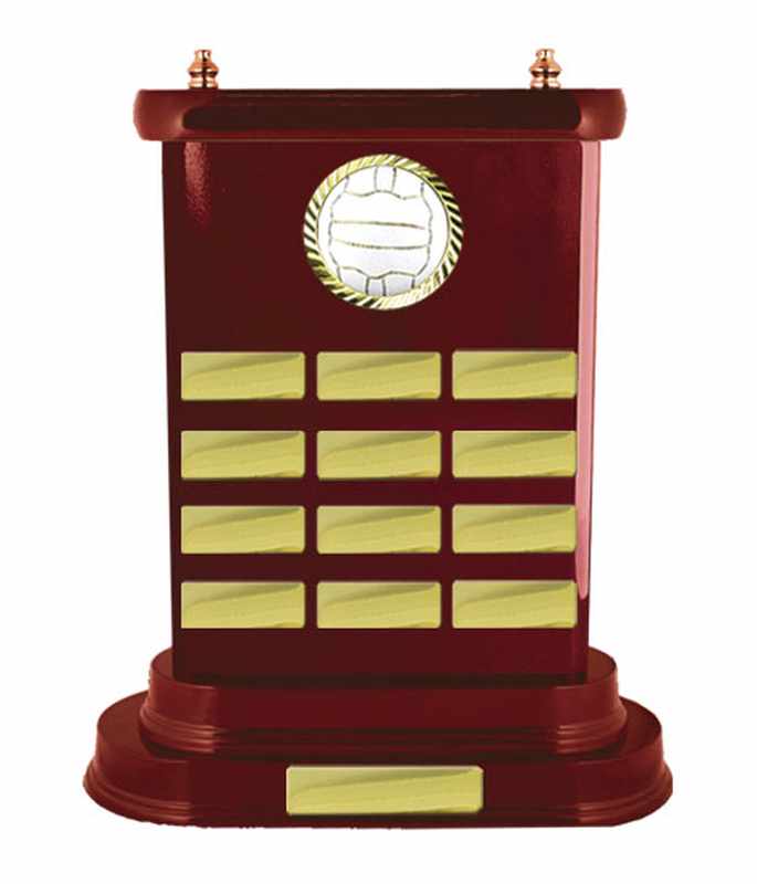 Netball con accumulo di legname