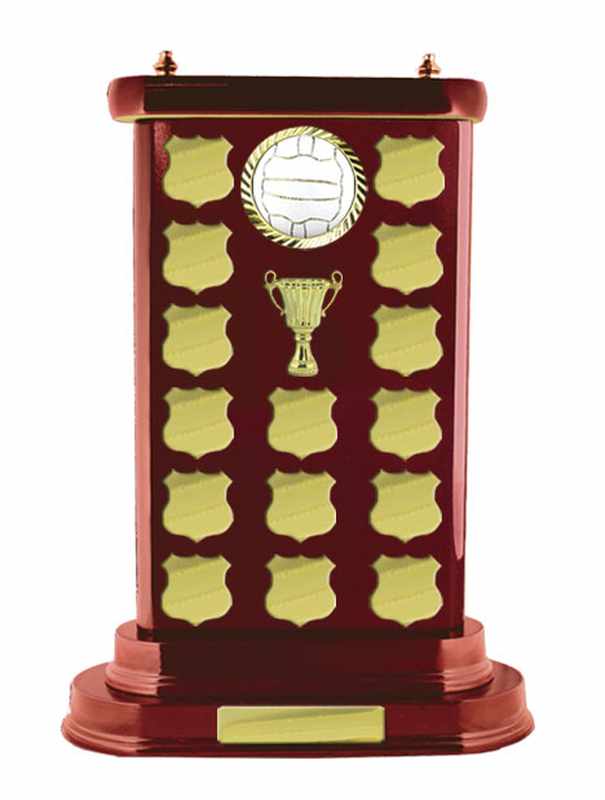 Netball con accumulo di legname