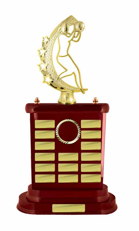 Netball con accumulo di legname