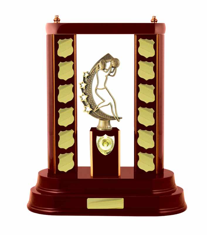 Netball con accumulo di legname