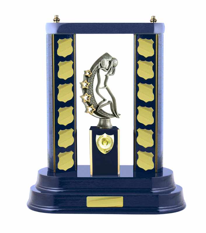 Netball con accumulo di legname