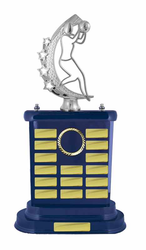 Netball con accumulo di legname