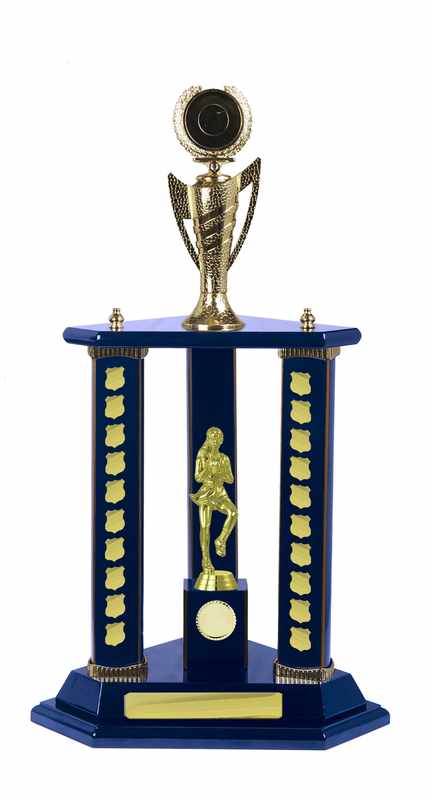 Netball con accumulo di legname