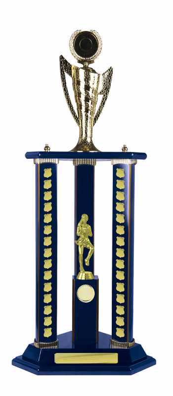 Netball con accumulo di legname