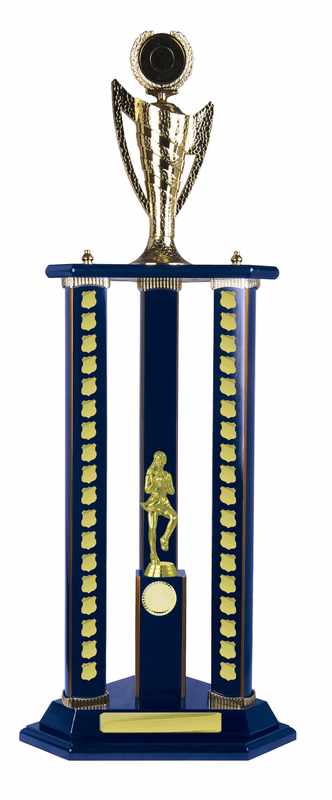 Netball con accumulo di legname