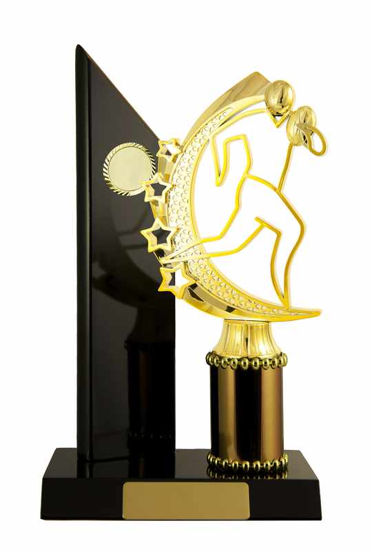 Accumulo di legname Rugby