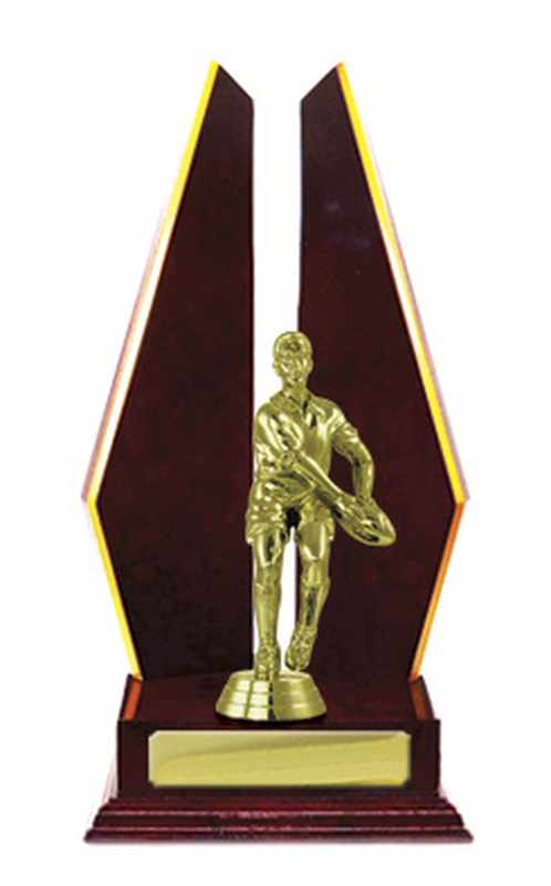 Accumulo di legname Rugby