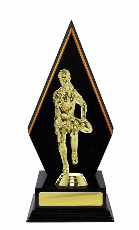 Accumulo di legname Rugby